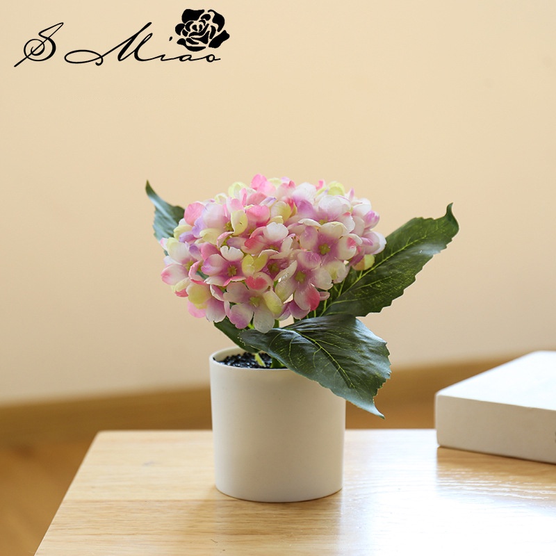 Chậu hoa cẩm tú cầu 20*20cm để bàn làm việc - trang trí nhà cửa