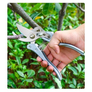 Kéo cắt cành cây to nhập khẩu từ Nhật Bản.
