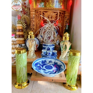 Bình Ngâm Rượu Sâm Thủy Tinh 0.8 Lít PHÚ HÒA