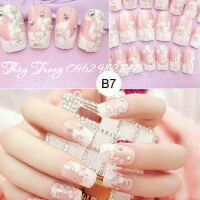 Nail móng tay combo 20b