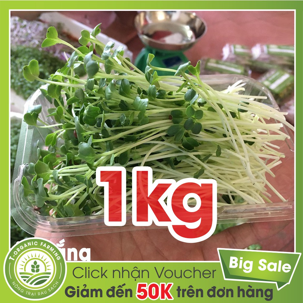 Hạt Giống Rau Mầm Củ Cải Trắng 1kg - Bán Buôn