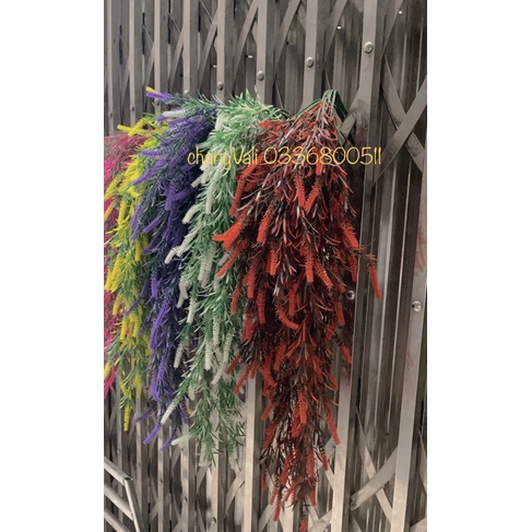 Cụm rủ treo tường-bụi rủ ớt trang trí,decor phong cách vintage