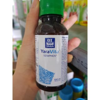 Phân Bón Lá Seniphos NUÔI TRÁI LỚN - TẨY NÁM TRÁI - CHỐNG SƯỢNG CHỐNG NỨT THỐI TRÁI - TRÁI CHÍN MÀU ĐẸP