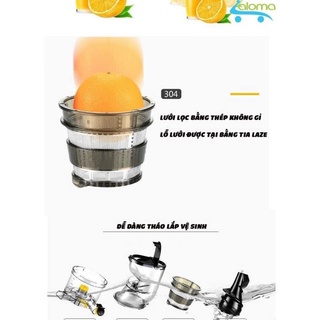 Máy ép chậm , ép trái cây Hongxin RH313 chính hãng mới
