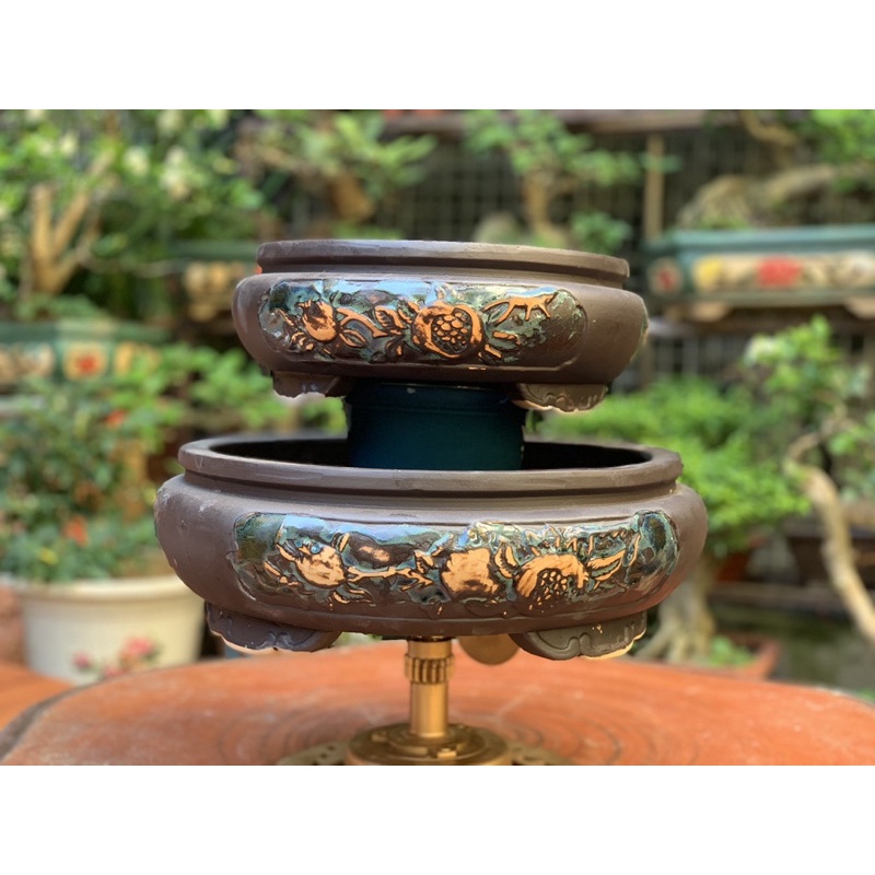 Ang tròn trồng cây bonsai = 389K