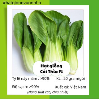 Hạt Giống Cải Thìa Rado - Gói 20 gram (Năng suất cao)
