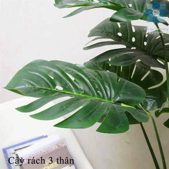 Cây giả - cây monstera - trầu bà lá xẻ 16 lá 1m3 - hàng sẵn