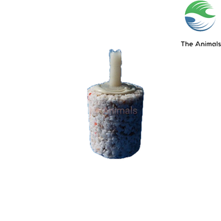 Đá sủi oxy, viên sủi oxy, cục sủi oxy cho bể cá cảnh - Vật liệu lọc
