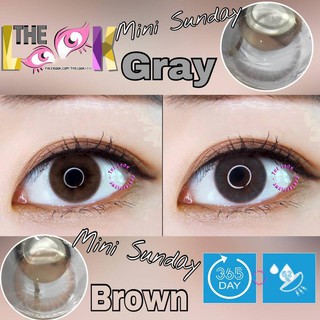 < TỰ NHIÊN > CONTACT LENS MÀU BROWN - NÂU HẠT DẺ - ÁP TRÒNG - CÓ ĐỘ