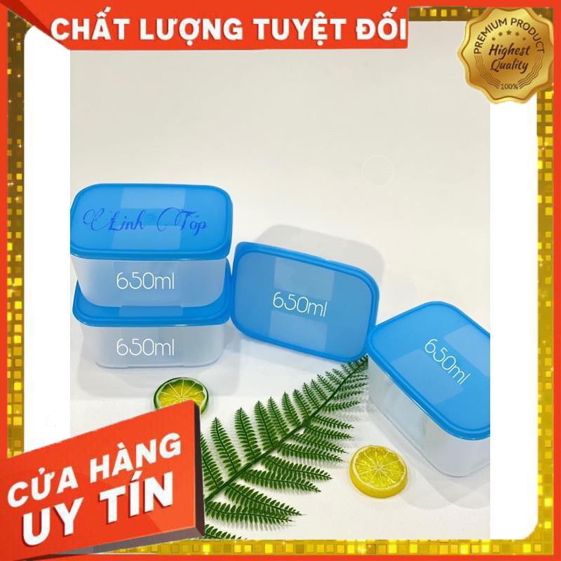 Hộp trữ đông 250ml, 650ml, 1.5l, 3.1l Tupperware