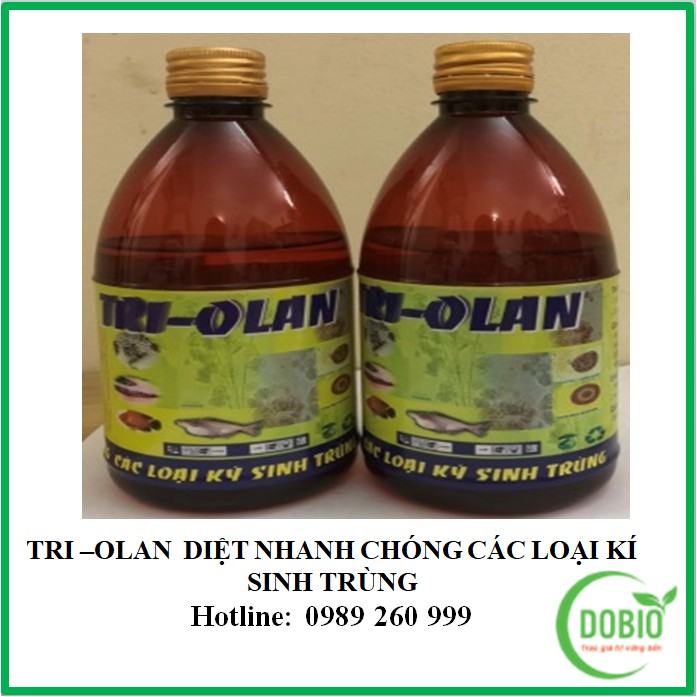 TRI –OLAN  DIỆT NHANH CHÓNG CÁC LOẠI KÍ SINH TRÙNG TRÊN CÁ ,TÔM THỦY SẢN... DOBIO.VN