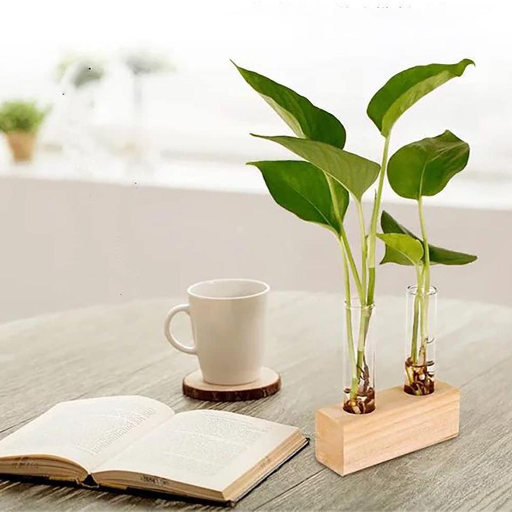 Chậu Hoa Hình Ống Nghiệm Trang Trí Nhà Cửa / Văn Phòng|Bình Hoa Thủy Tinh Thiết Kế Độc Đáo Chất Lượng Cao