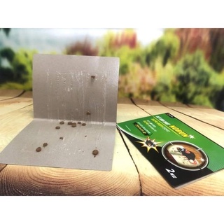 Bẫy Keo Dính Chuột Hàn Quốc, Bẫy Chuột Siêu Dính