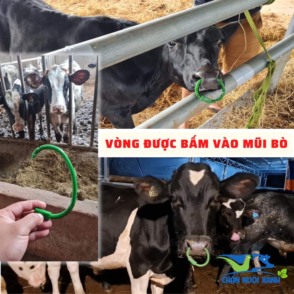 Vòng xỏ mũi bò, khuyên xỏ mũi trâu - bò bằng nhựa Pakistan đi kèm chốt deo dai bền bỉ cao cấp - CHĂN NUÔI XANH