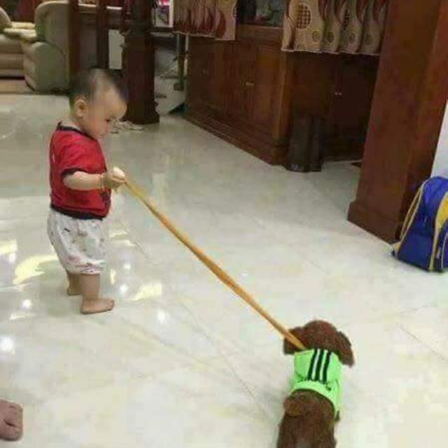 Chó bông biết hát