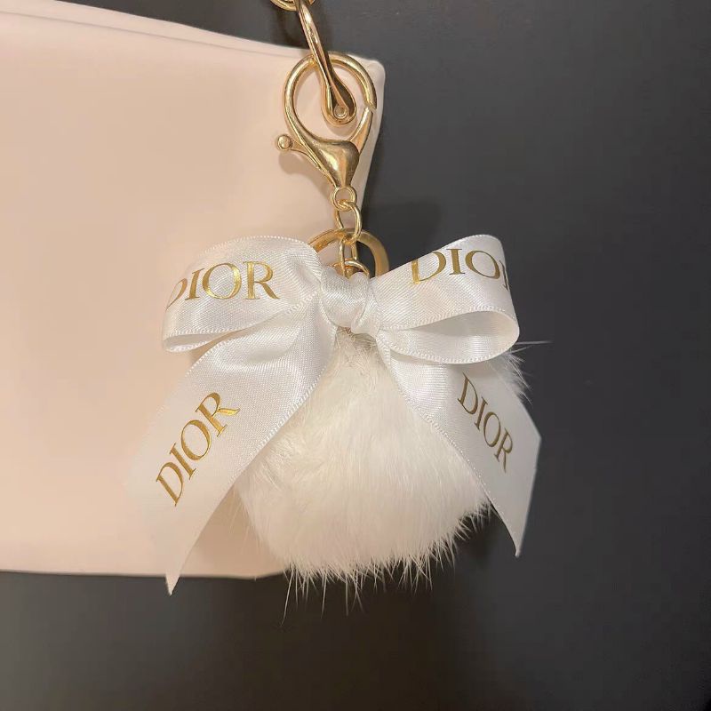 Túi Dior gift