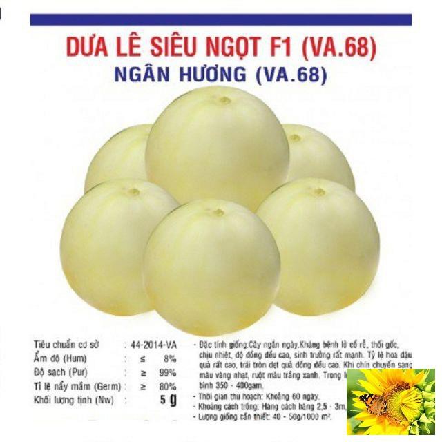 Hạt giống dưa lê siêu ngọt F1 gói 10 hạt xuất xứ Việt Nam