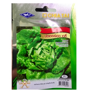 Hạt giống xà lách cuộn-chiatai