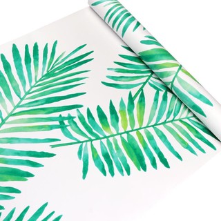 DECAL 1M GIẤY DÁN TƯỜNG CÓ SẴN KEO - lá xanh nền trắng GRR253