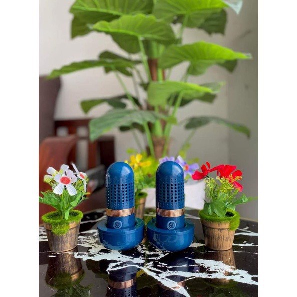Máy Khử Khuẩn Thực Phẩm Donlim, Máy Rửa Rau Củ Quả Tự Động , Loại Bỏ Vi Khuẩn và thuốc trừ sâu - BH 12th