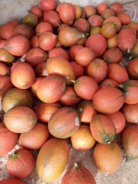 SỮA RỬA MẶT NGHỆ GẤC BƠ (HANDMADE) | BigBuy360 - bigbuy360.vn