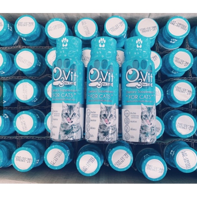 O3Vit siro dưỡng lông, tăng sức đề kháng - OMEGA 3 VÀ VITAMIN CHO MÈO