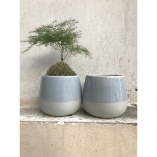 chậu sứ nhỏ