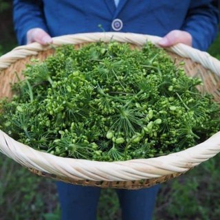Trà Hoa Nhân Sâm Hàn Quốc, Túi 500gr