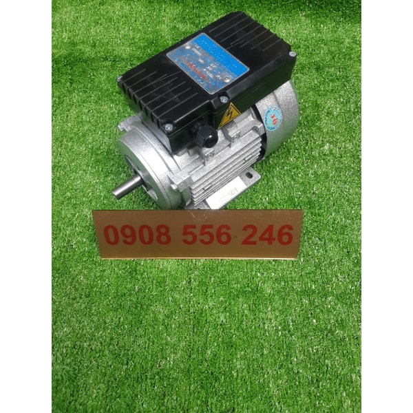 Moter nửa ngựa điện 220 chậm tua 1360 vòng