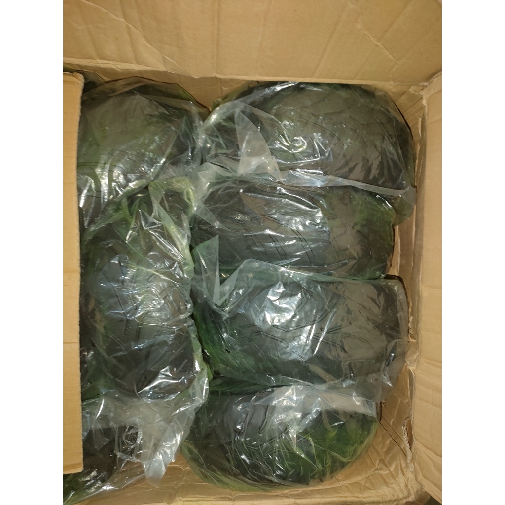 Săm Lốp cho xe Monster mini, Cukake, Motomini 110/65 -6.5