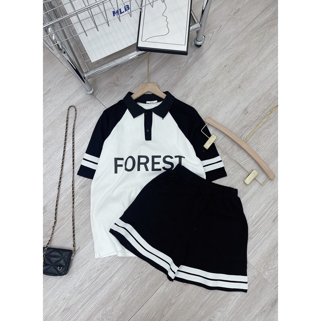 Bộ đùi len tăm FOREST cổ sơ mi quần short đùi DN135