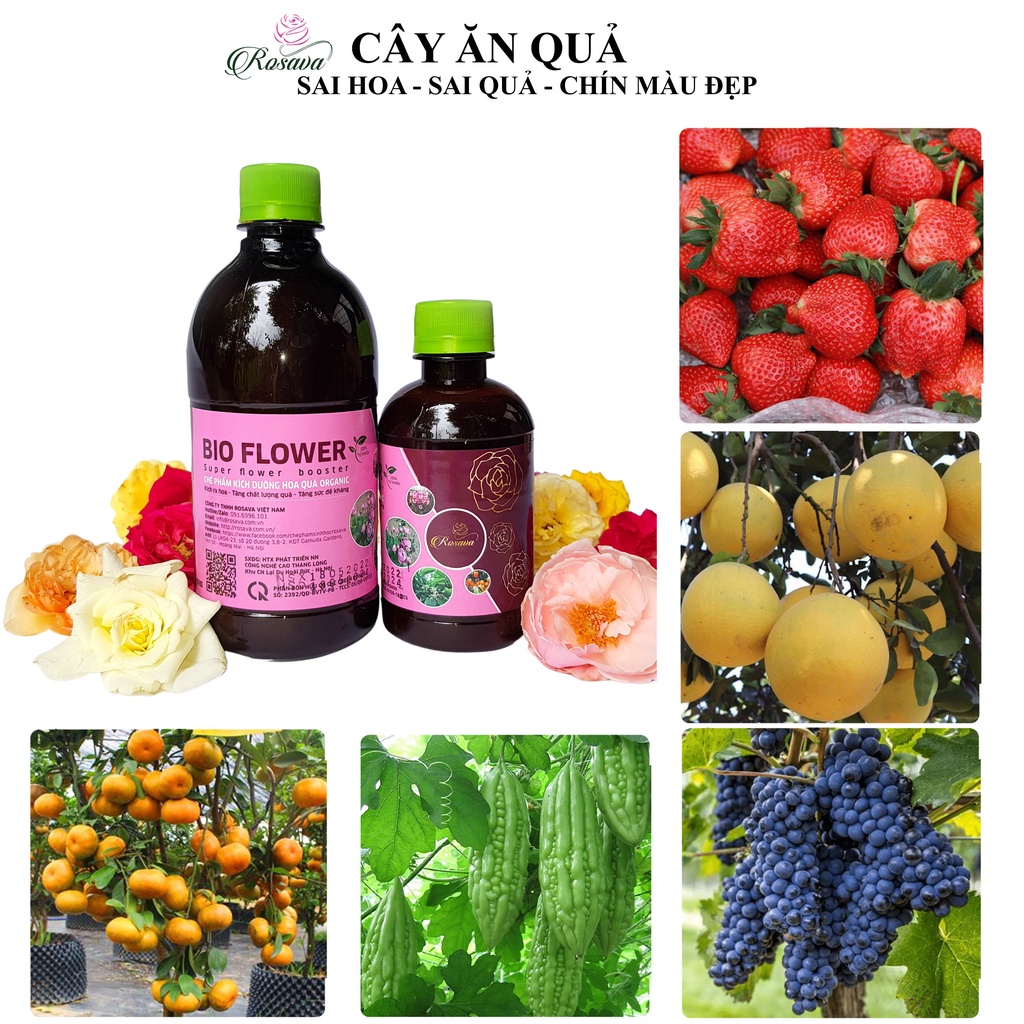 Phân bón hữu cơ vi sinh kích thích ra hoa ROSAVA cho cây cảnh, hoa hồng, hoa giấy, hoa lan, sen đá