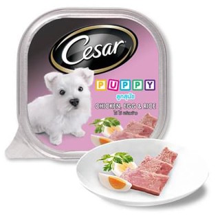 Thức ăn chó pate  Cesar chó con 100gr - hachikopetshop