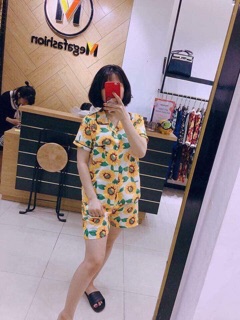 BỘ HOA QUẢ ĐI BIỂN (Kèm ảnh thật)