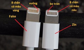 Củ sạc + dây iphone (Hàng chính hãng)