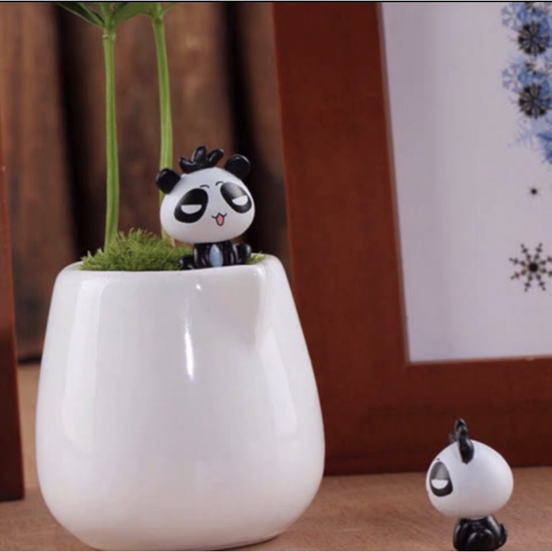 Tiểu Cảnh Gấu Trúc Cute | Phụ Kiện Trang Trí Tiểu Cảnh Terarium, Sen Đá, Xương Rồng