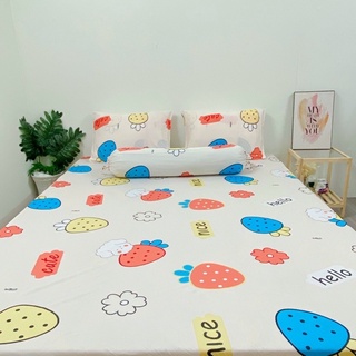 Bộ 4 ga/drap trải giường áo gối thun lạnh hàn quốc
