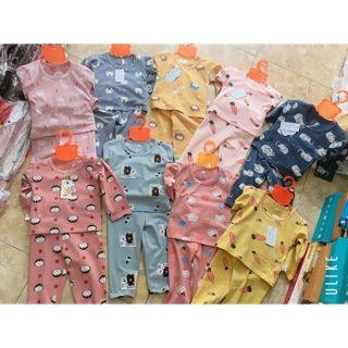 Combo sỉ bộ cotton hàng cao cấp cho bé yêu