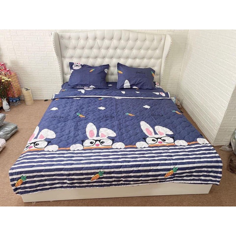 [Xả hàng tết]Bộ ga gối cotton poly đệm 1m6x2m dày 15-20cm,chát chọn mẫu,HANHRUI1370