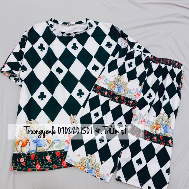 Set bộ 3d thun lạnh