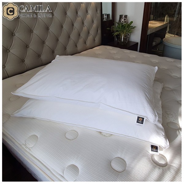 Ruột gối nằm CAMILA - Microfiber Euro Pillow