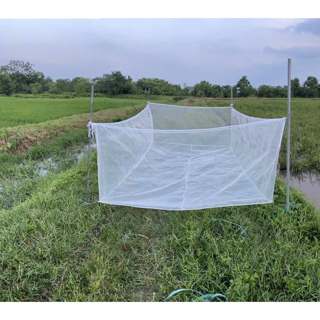 Tráng nuôi ốc nhồi , ốc bươu chuyên nghiệp có 19 kích thước lựa chọn