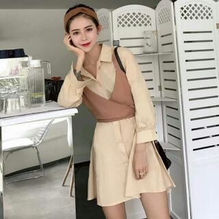 Order đầm sơmi kiểu ulzzang