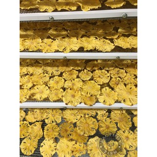 100g-500g Thơm Lát Sấy Khô