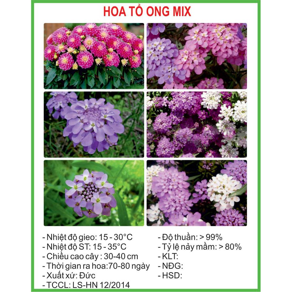 [Rẻ Vô Địch] Hạt Giống Hoa tổ ong Mix 100 Hạt (golden seed)
