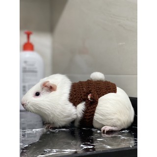 SET ÁO LEN GẤU BROWN CHO HAMSTER, CHUỘT, BỌ Ú...