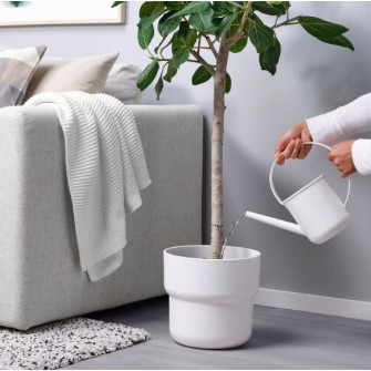 Bình tưới FÖRENLIG IKEA chính hãng