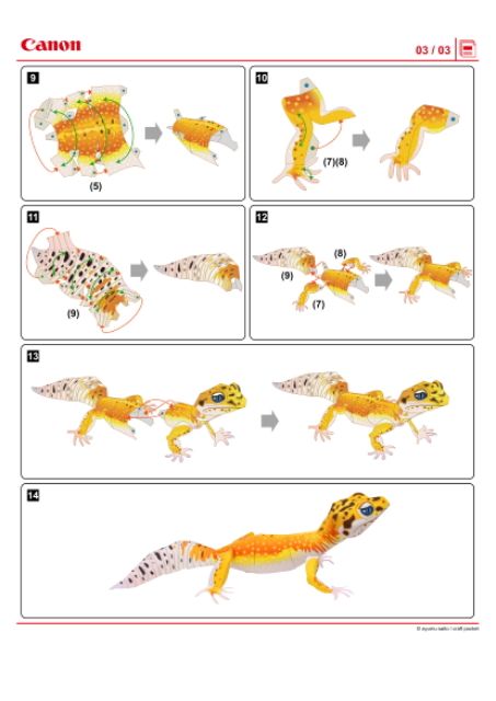 Mô hình giấy Động Vật thằn lằn báo đốm