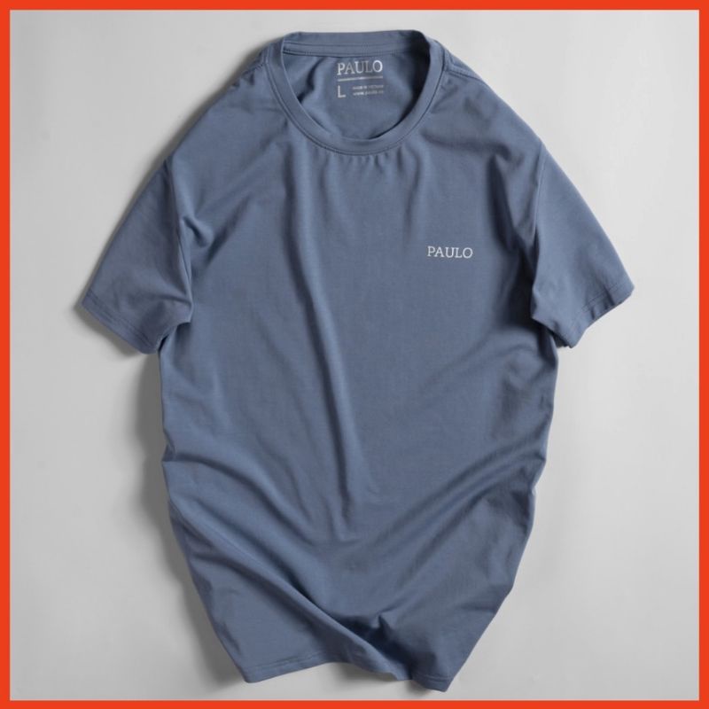 Áo thun nam cổ tròn vải cotton lạnh co giãn dày dặn , form regular fit P01 loại 1