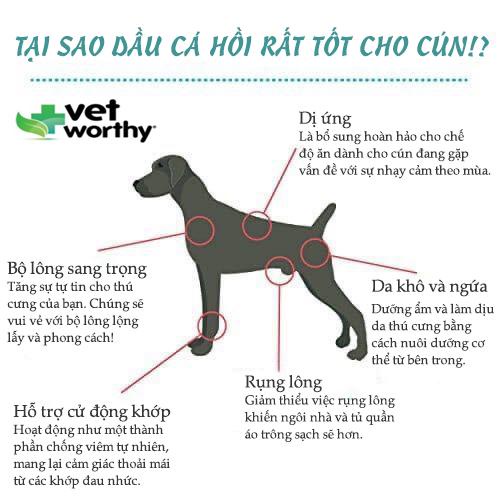 Dầu cá hồi nguyên chất Vet Worthy dành cho chó -  WILD SALMON OIL BLEND 458 & 946ml